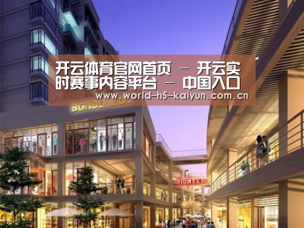 展示一(图1)