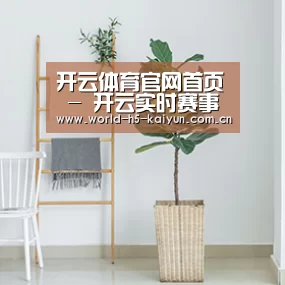 产品名称六(图1)