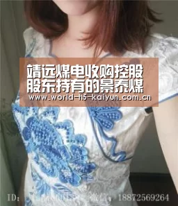 靖远煤电收购控股股东持有的景泰煤业60%股权【开云赛事】(图2) 开云赛事