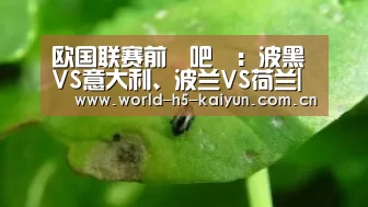 开云赛事