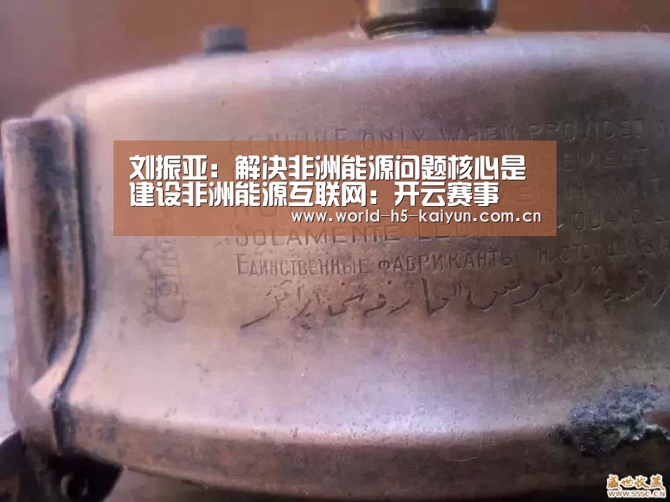 刘振亚:解决非洲能源问题核心是建设非洲能源互联网:开云赛事(图1) 开云即时比分